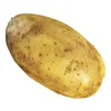 1654166057324.webp