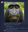 1659086607060.webp