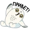 1612296094015.webp
