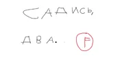 Untitled.webp