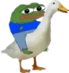 1675451983571.webp