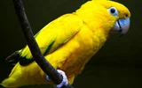 1678379581490.webp