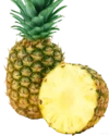 pngwing.com (5).webp