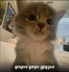 Screenshot_5.webp