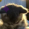 1695731505919.webp