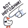 1629640054544.webp