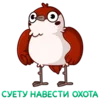 1631129169335.webp