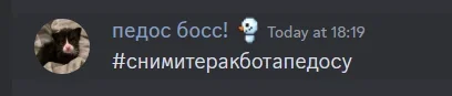 1701804999516.webp