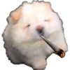chilldog.webp