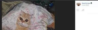 Screenshot_1.webp
