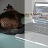 1702720456005.webp