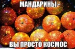 1704557600906.webp