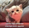 1704664481765.webp