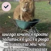1704664567351.webp