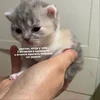 1704664749470.webp