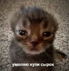 1704664921492.webp