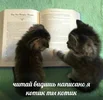 1704665928691.webp