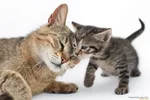 1705667793052.webp