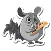 chinchillasonya_agadggadzieddq.webp