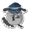 chinchillasonya_agadiaadzieddq.webp
