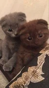 1708179562428.webp