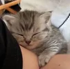 1708242214267.webp