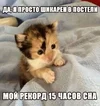 1708522064674.webp
