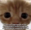 1709509599101.webp