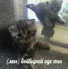 1709848801120.webp