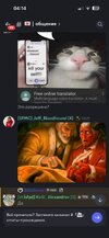 IMG_5439.jpeg