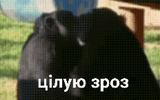 sticker.gif