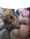titts.png