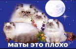 1770046516333.png 1770046516333.png