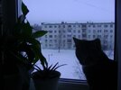 IMG_0236.jpeg