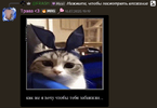 Снимок экрана 2026-02-12 201227.png Снимок экрана 2026-02-12 201227.png