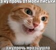 IMG_3431.jpeg IMG_3431.jpeg