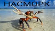 IMG_0723.jpeg