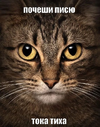 f4de74e36bd0e7d5b21a4e9877a4c998.png