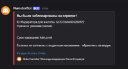 Снимок экрана 2026-03-17 223230.png