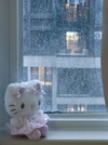 IMG_3591.png
