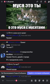 1777250348569.png