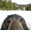 IMG_0890.jpeg