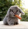 Без названия (7).jpg