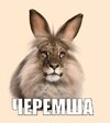 Скриншот 12-05-2026 160553.jpg