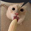 1780057705061.png