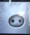 IMG_4989.png