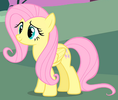 IMG_0807.png