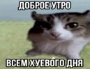 IMG_2533.jpeg
