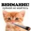IMG_2132.jpeg