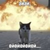 IMG_2840.jpeg